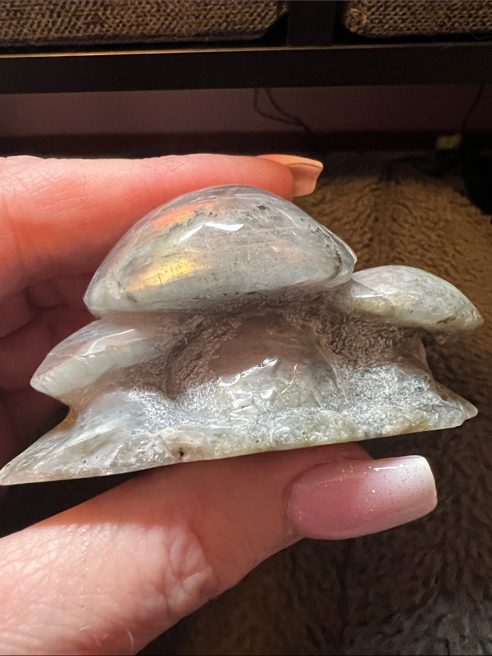 Labradorite mushroom Carving